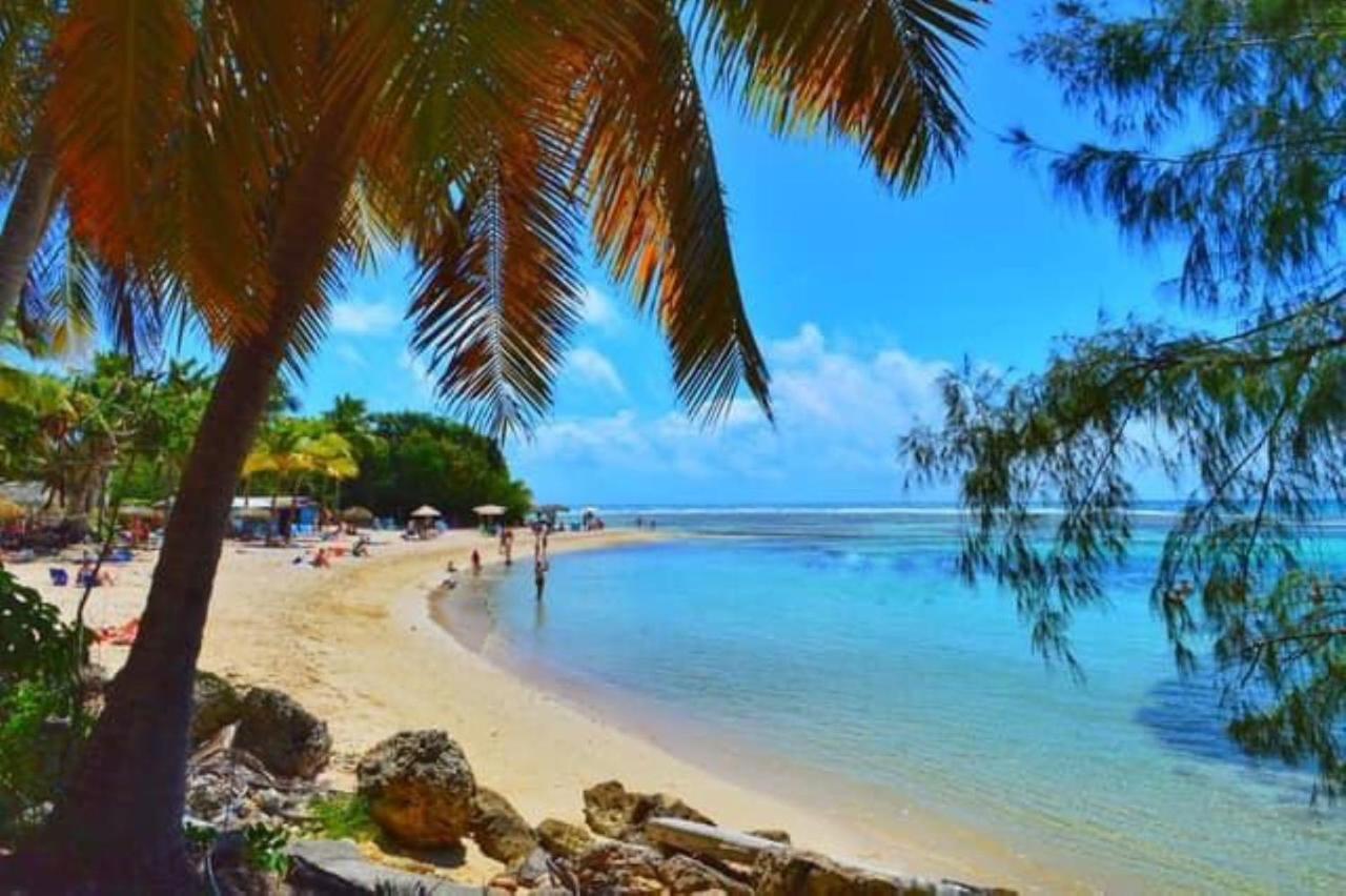 Studio Mojito Vue Mer,Piscine Avec Cuve Eau Et Acces Plage Et Piscine Anse Des Rochers Saint-Francois  Dış mekan fotoğraf